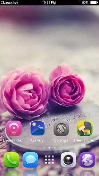 Pink Roses Theme C Launcher Screenshot 3