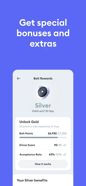 Bolt Driver: Drive & Earn screenshot 2