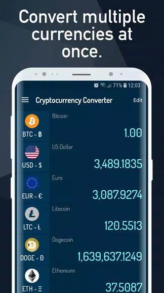 Cryptocurrency Rate Converter ဖန်သားပြင်ဓာတ်ပုံ 3