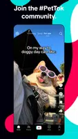 Screenshot TikTok: Videos, Lives & Musik 4