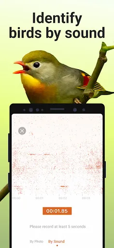 Picture Bird screenshot 4