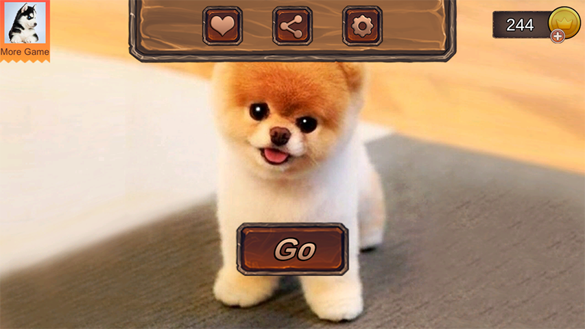 Pomeranian Dog Simulator ဖန်သားပြင်ဓာတ်ပုံ 1