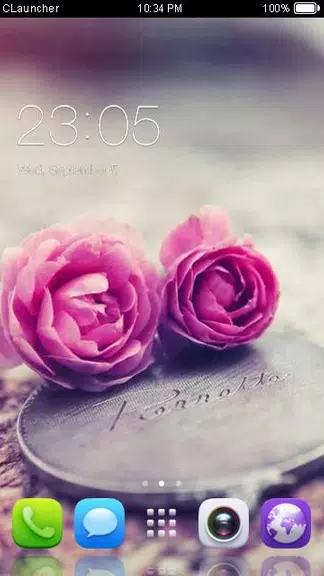 Pink Roses Theme C Launcher Screenshot 1