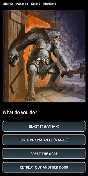 D&D Style Choice Game应用截图第3张