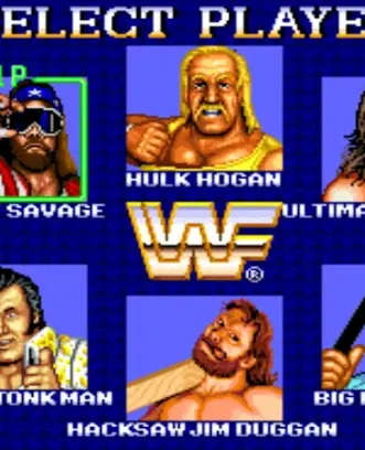 WWF Superstars of Wrestling Cl ảnh chụp màn hình 3