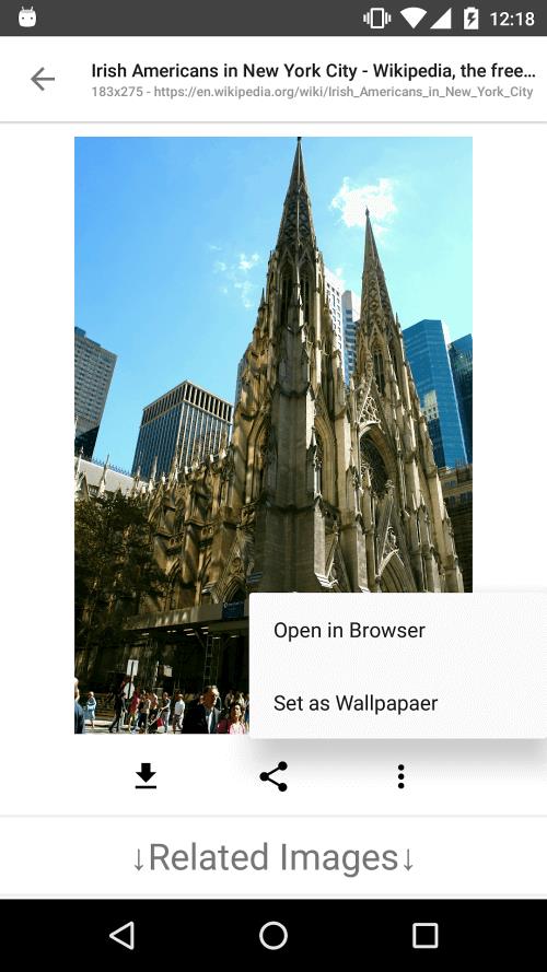 Screenshot ImageSearchMan 4