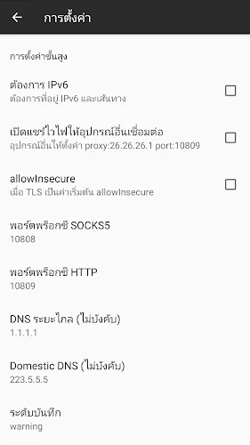 Screenshot IDC VPN 3