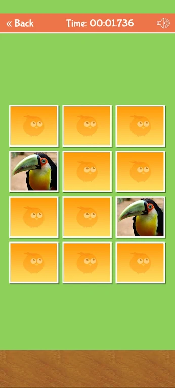 Screenshot Birds Memory Match Game 1