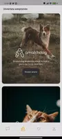 Amazdog screenshot 2