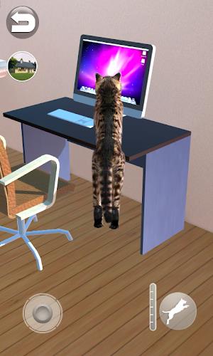 Talking Reality Cat captura de pantalla 