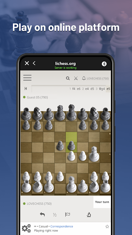 Chessnut ekran görüntüsü 2