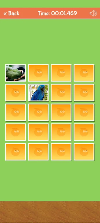 Birds Memory Match Game ảnh chụp màn hình 3