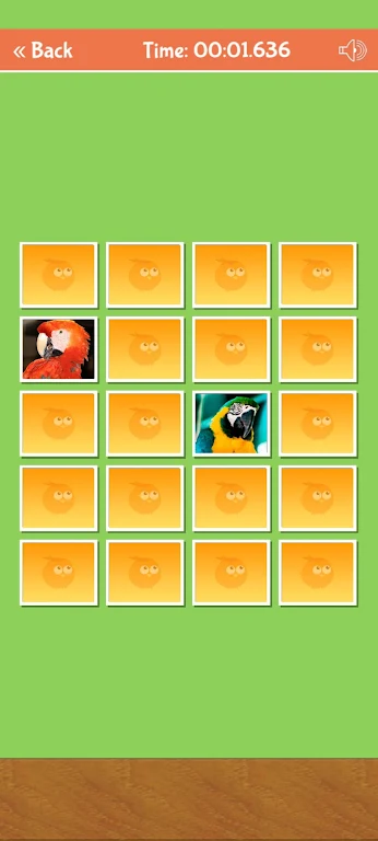 Birds Memory Match Game ဖန်သားပြင်ဓာတ်ပုံ 4