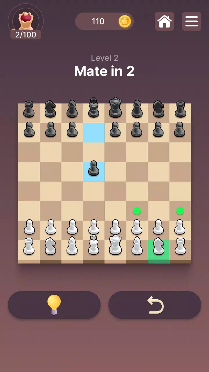 Screenshot Chesscapes: Daily Chess Puzzle 4