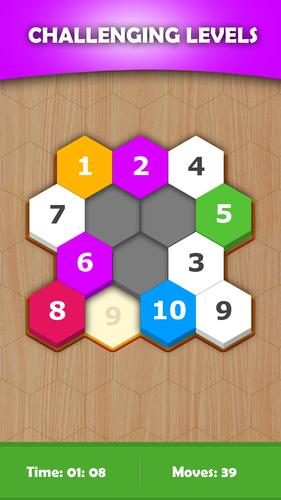 Hexa Sort Puzzle Screenshot 2