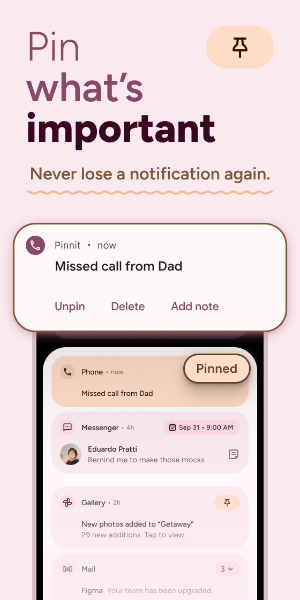 Pinnit screenshot 2