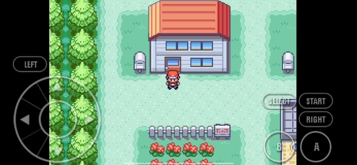 Pokemon Fire Red স্ক্রিনশট 1