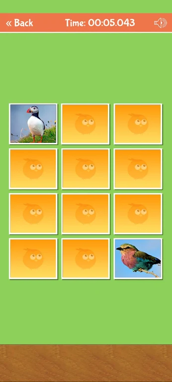 Birds Memory Match Game zrzut ekranu 2