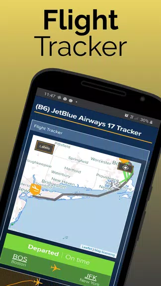 Paris Charles De Gaulle (CDG) screenshot 2