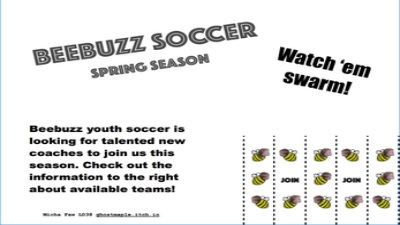 Beebuzz Soccer screenshot 2