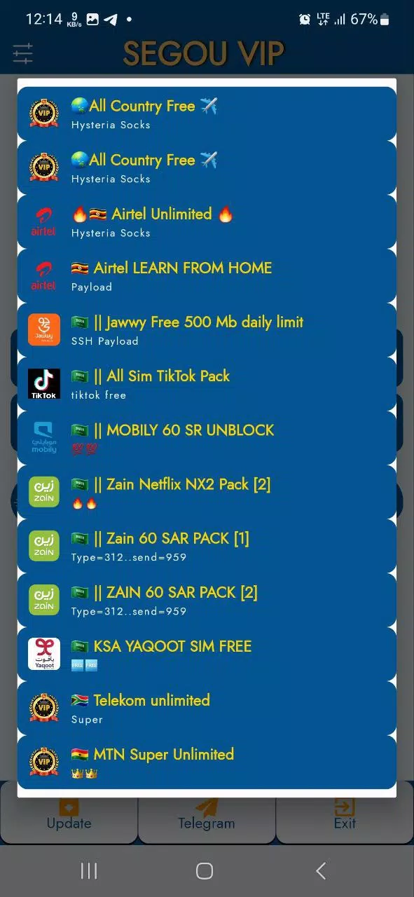 SEGOU VIP VPN ဖန်သားပြင်ဓာတ်ပုံ 3