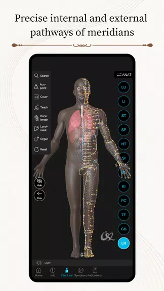 Acupuncture Master Screenshot 2