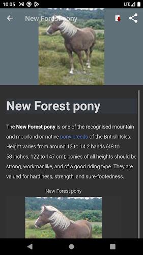 Horse breeds - Photos Screenshot 4