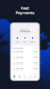 Wirepay - Global Payments Screenshot 2