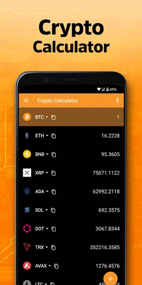 Crypto Calculator ဖန်သားပြင်ဓာတ်ပုံ 3