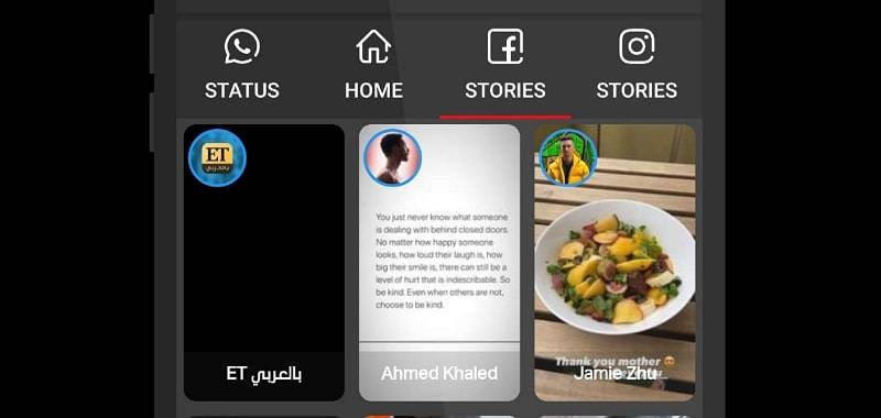 Screenshot Video Downloader and Stories 1
