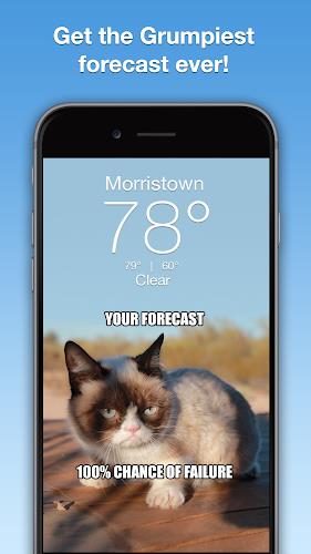 Grumpy Cat Weather Screenshot 1