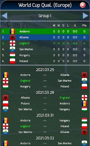 Screenshot True Football National Manager 3