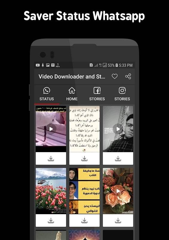 Screenshot Video Downloader and Stories 3