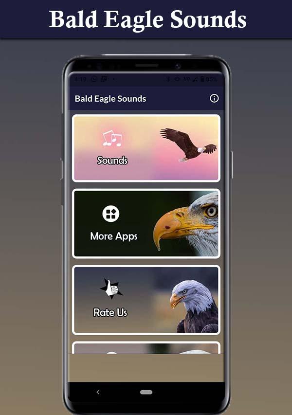 Bald Eagle Sounds Screenshot 3