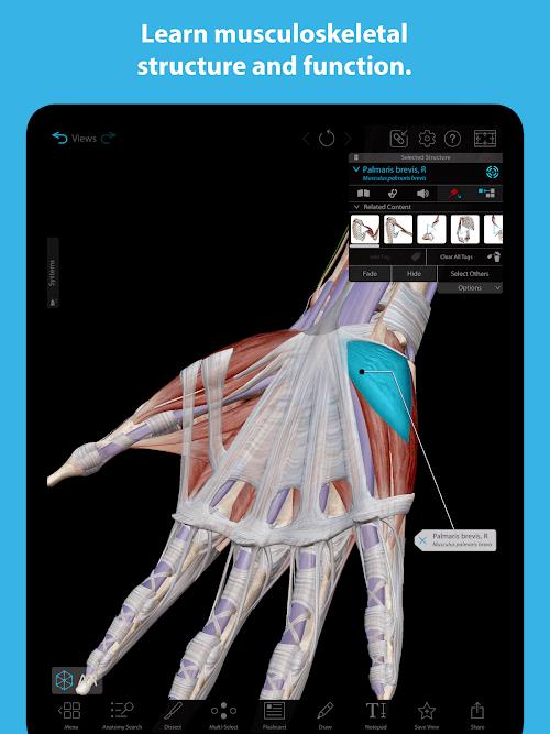 Human Anatomy Atlas 2023 Screenshot 4