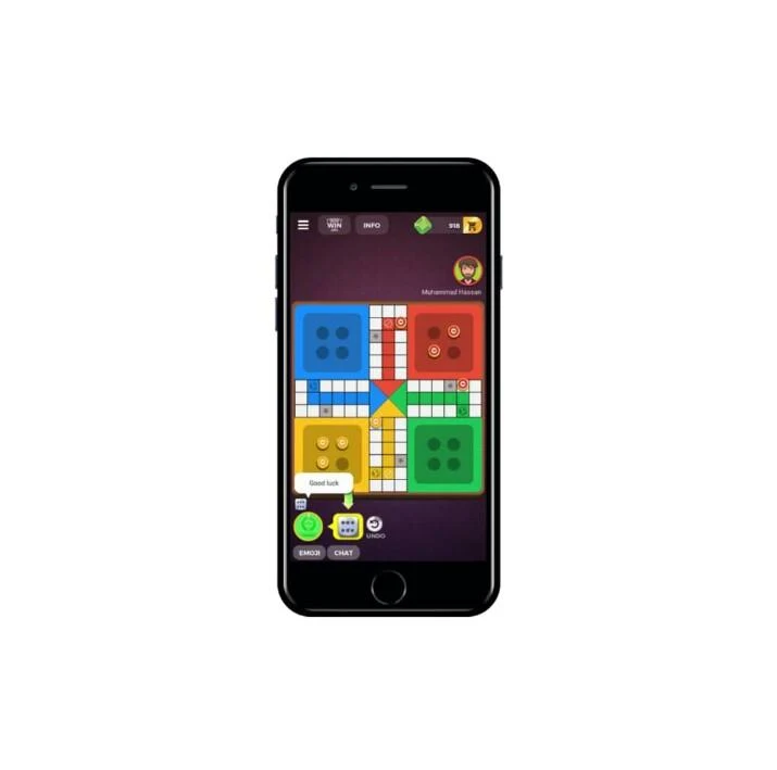 Ace Zain Ludo স্ক্রিনশট 2