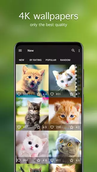 Cat Wallpapers & Cute Kittens স্ক্রিনশট 2