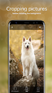 Dog Wallpapers & Puppy 4K ảnh chụp màn hình 4