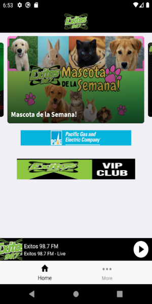 Exitos 98.7 captura de pantalla 