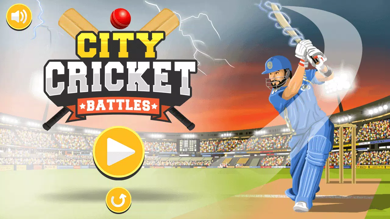 Screenshot City Cricket Game 4