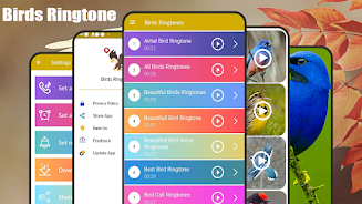 Birds Sounds & Birds Ringtones screenshot 2