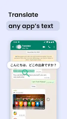 Instant Translate On Screen スクリーンショット 2