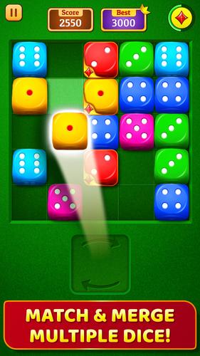 Dice Puzzle captura de pantalla 