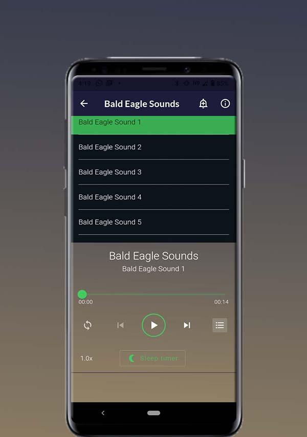 Bald Eagle Sounds Screenshot 1