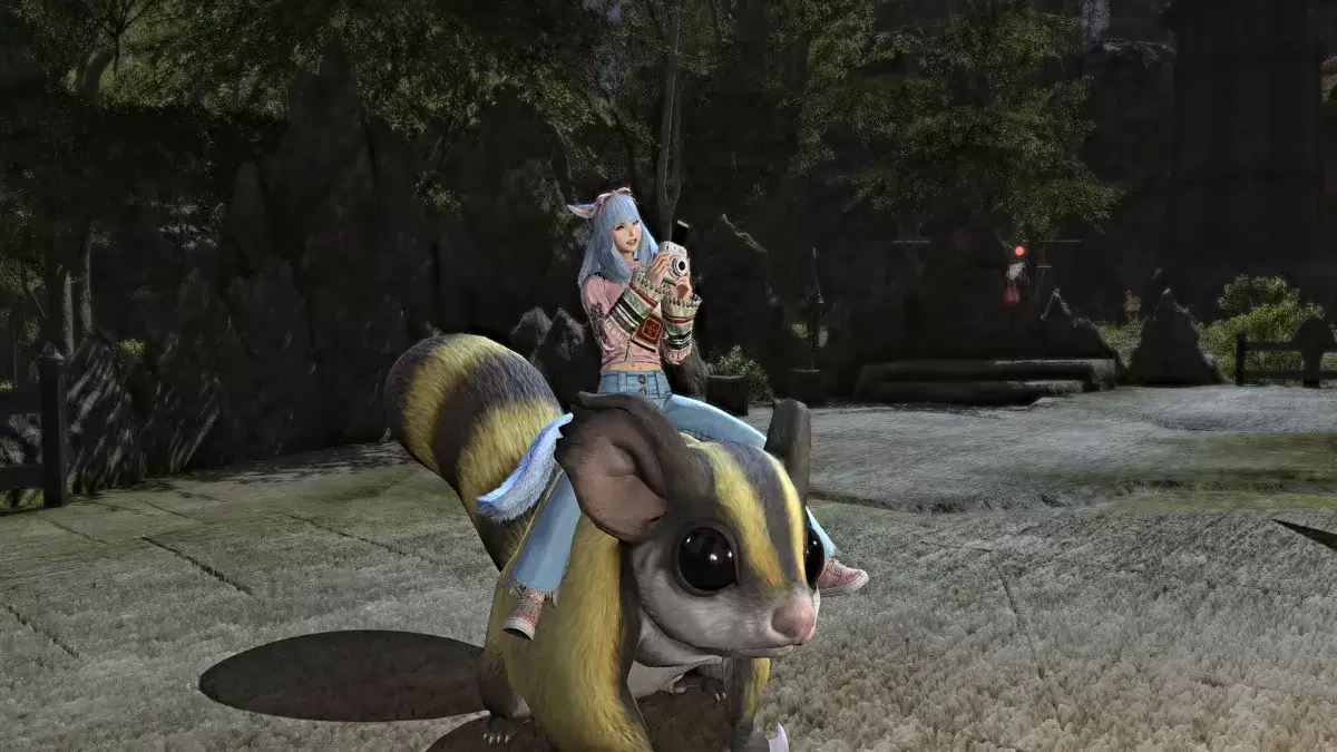 FFXIV में लगाए गए फोटोग्राफ emote को दिखाते हुए स्क्रीनशॉट