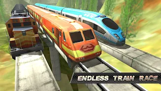 Train Race ဖန်သားပြင်ဓာတ်ပုံ 4