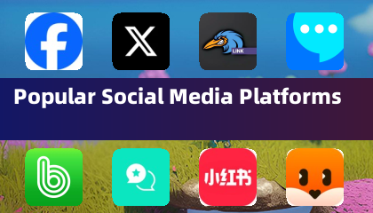 Plateformes de médias sociaux populaires